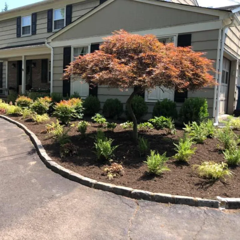 Front Yard Curb Appeal