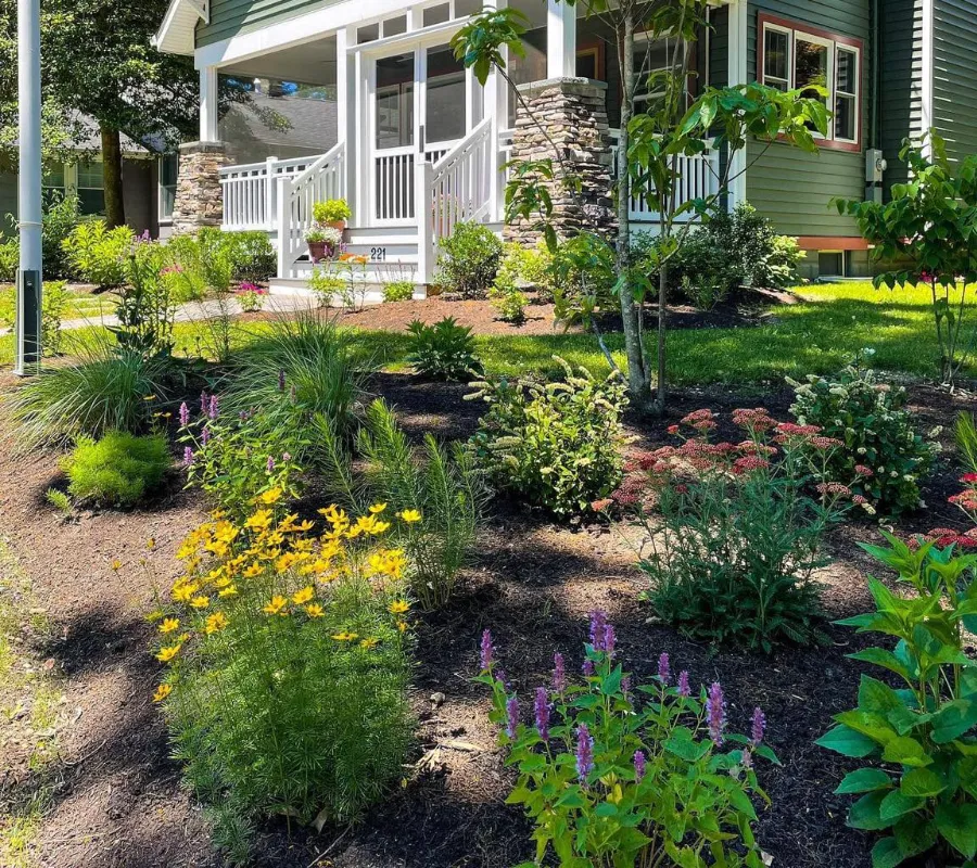 Front Yard With Native Plantings